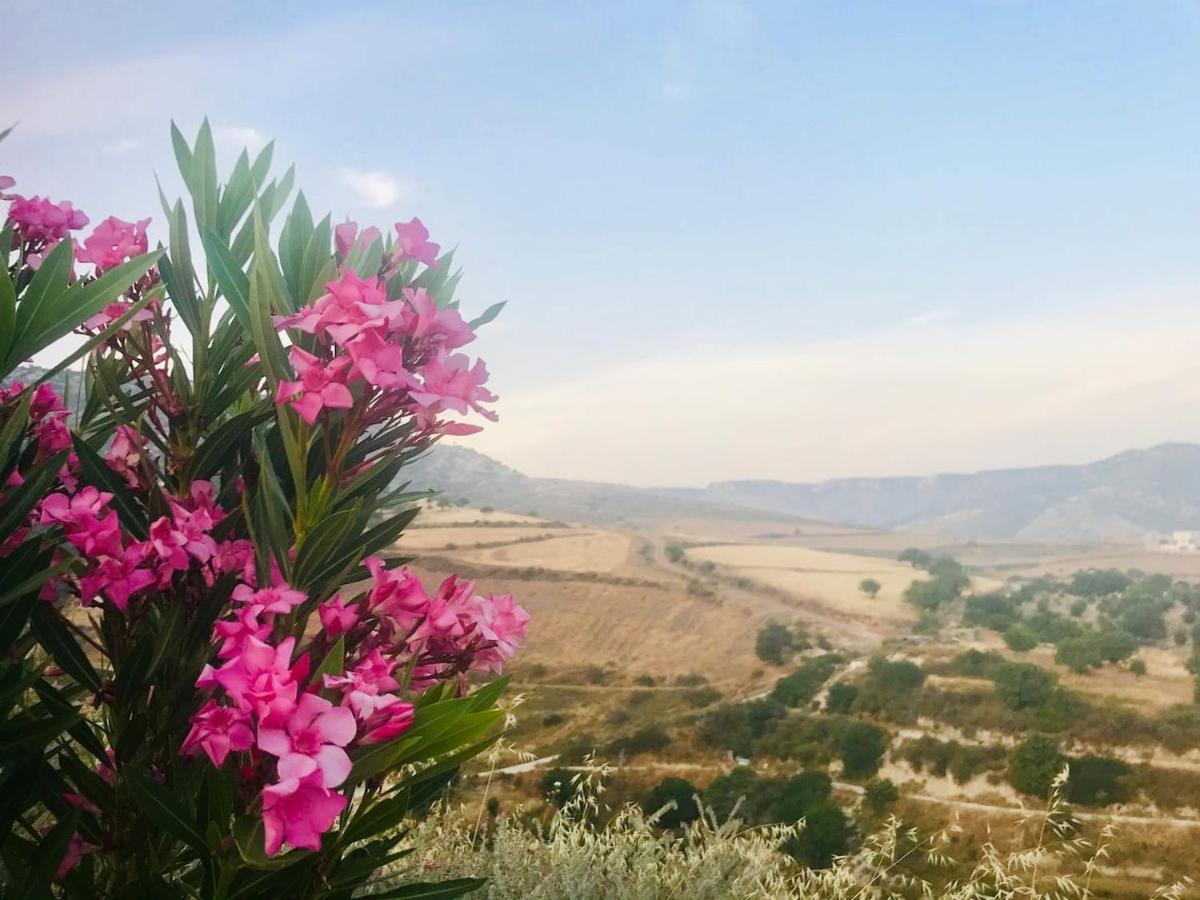 Panoramic Holidays Peyia Exterior foto